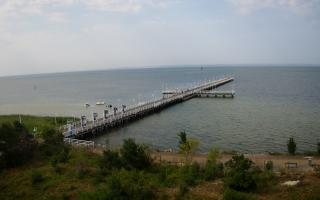 Jurata Molo - 31-07-2026 07:59