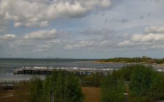 Jastarnia - 03-05-2025 09:31