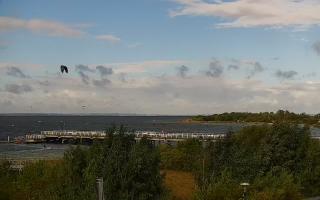 Jastarnia - 17-09-2025 07:28