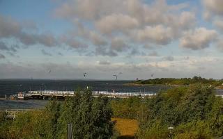Jastarnia - 17-09-2025 08:07
