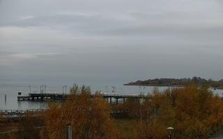 Jastarnia - 02-11-2025 07:06