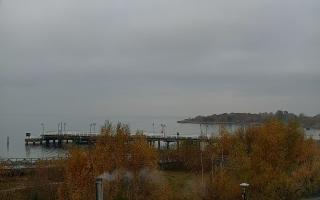 Jastarnia - 02-11-2025 10:27