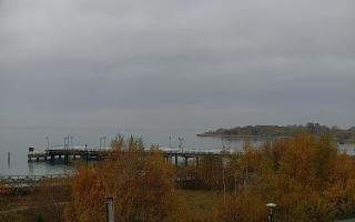 Jastarnia - 02-11-2025 10:34