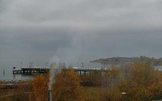 Jastarnia - 02-11-2025 10:50