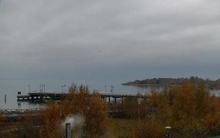 Jastarnia - 02-11-2025 11:36