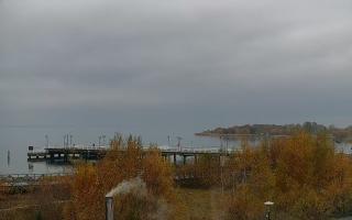 Jastarnia - 02-11-2025 11:44