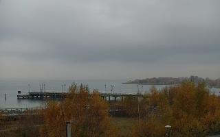 Jastarnia - 02-11-2025 14:03