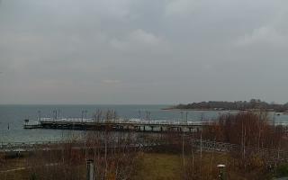 Jastarnia - 20-11-2025 14:06