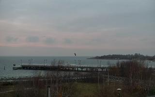 Jastarnia - 20-11-2025 14:30