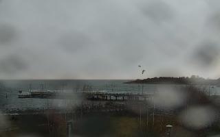 Jastarnia - 21-11-2025 07:03