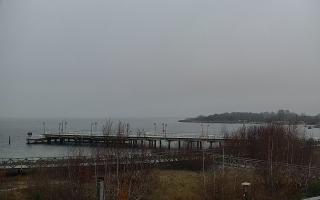 Jastarnia - 23-11-2025 06:55