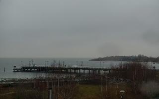 Jastarnia - 29-11-2025 13:25