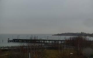 Jastarnia - 29-11-2025 13:33