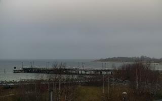 Jastarnia - 30-11-2025 08:35