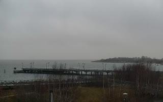 Jastarnia - 18-12-2025 08:19