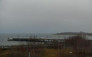 Jastarnia - 18-12-2025 08:42