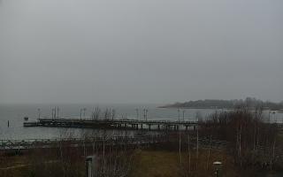 Jastarnia - 18-12-2025 09:29