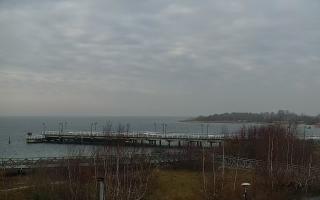 Jastarnia - 18-12-2025 11:09