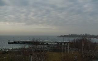 Jastarnia - 18-12-2025 11:24