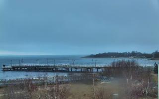 Jastarnia - 17-04-2026 04:46