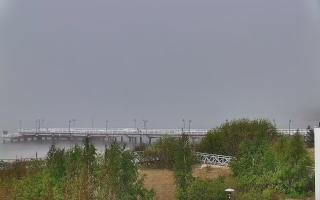 Jastarnia - 20-05-2026 09:07