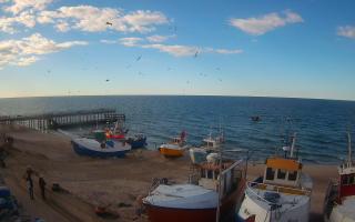 Chłopy port - 21-03-2026 14:22