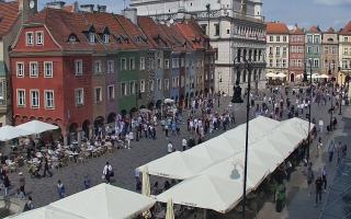 Poznań Stary Rynek Ratusz - 03-05-2025 10:25