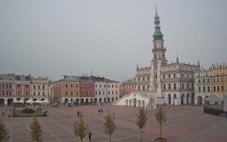 Zamość - 15-10-2025 08:42
