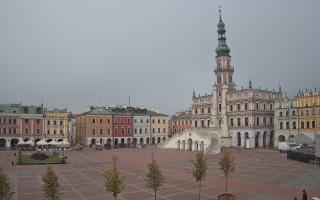 Zamość - 15-10-2025 09:03