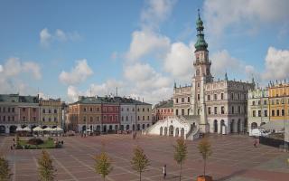 Zamość - 15-10-2025 11:10