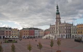 Zamość - 15-10-2025 13:10