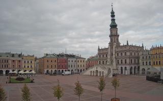 Zamość - 16-10-2025 07:13
