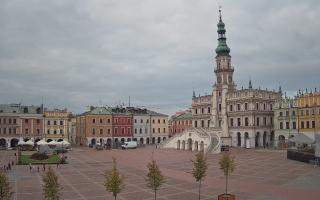 Zamość - 16-10-2025 08:30