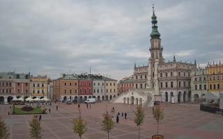 Zamość - 16-10-2025 08:45