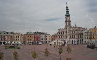 Zamość - 16-10-2025 09:20
