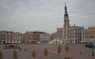 Zamość - 16-10-2025 09:55
