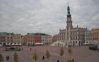 Zamość - 16-10-2025 14:01