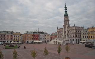 Zamość - 16-10-2025 14:22