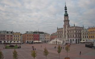 Zamość - 16-10-2025 14:50
