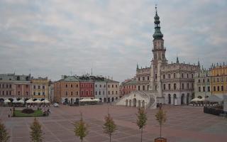 Zamość - 16-10-2025 15:04