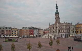 Zamość - 16-10-2025 15:19