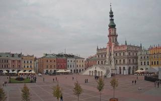 Zamość - 16-10-2025 15:26