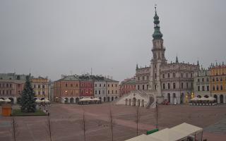 Zamość - 29-11-2025 05:57