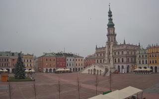 Zamość - 29-11-2025 06:04