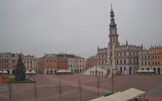 Zamość - 29-11-2025 06:11
