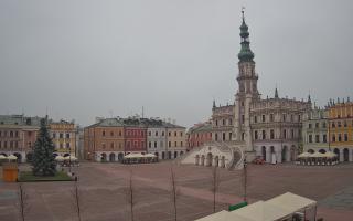 Zamość - 29-11-2025 06:25