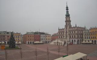 Zamość - 29-11-2025 06:40