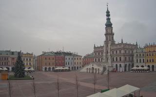 Zamość - 29-11-2025 07:22
