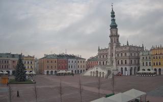 Zamość - 29-11-2025 08:11