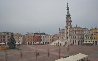 Zamość - 29-11-2025 08:46